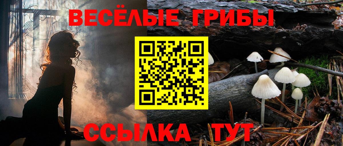 Мценск  Псилоцибиновые грибы мухоморы  Вход с VPN 
